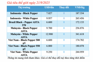 Giá tiêu hôm nay 21/9/2025: Neo giá ở mức cao