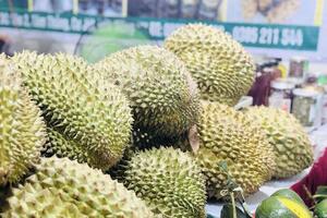 Chuyên gia: Sự năng động của Chính phủ giúp ngành rau quả bứt tốc