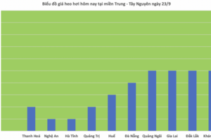 Giá heo hơi hôm nay 23/9/2025: Giảm nhẹ tại miền Bắc và miền Trung