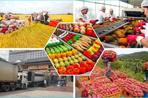 Thủ tướng chỉ đạo nhiều giải pháp trọng tâm thúc đẩy xuất khẩu và phát triển thị trường trong nước