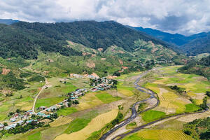 Người dân ở vùng cao ở Quảng Ngãi vươn lên nhờ cà phê, dược liệu