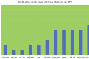 Giá heo hơi hôm nay 24/9/2025: Tiếp tục giảm nhẹ