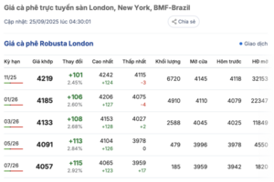Giá cà phê hôm nay 25/9/2025: Trong nước giảm sâu