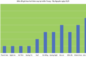 Giá heo hơi hôm nay 25/9/2025: Giảm mạnh tại miền Trung và miền Nam