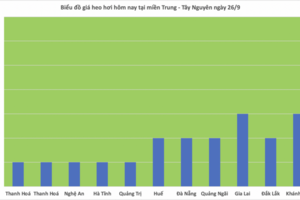 Giá heo hơi hôm nay 26/9/2025: Miền Trung, miền Nam giảm nhẹ