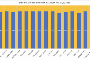 Giá heo hơi hôm nay 27/9/2025: Giảm tại miền Nam, đi ngang ở miền Bắc