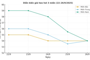Giá heo hơi liên tục giảm, miền Trung và miền Nam chịu áp lực lớn