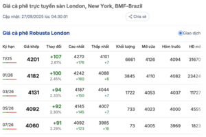 Giá cà phê hôm nay 27/9/2025: Trong nước quay đầu giảm mạnh