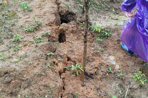 Quảng Ngãi: Xã Đăk Plô trích kinh phí hỗ trợ 12 hộ dân di dời vì sạt lở