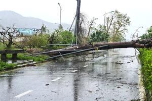 Bão số 10: Nguy cơ sạt lở ở nhiều nơi, cảnh giác bảo vệ an toàn đê điều