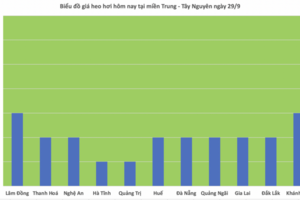 Giá heo hơi hôm nay 29/9/2025: Miền Bắc tăng nhẹ, miền Nam đi ngang