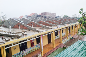 Hộ dân ở Hà Tĩnh mất trắng hàng chục tấn cá lồng bè sau bão số 10