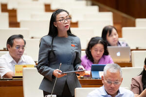 Đại biểu Quốc hội: Sàn thương mại điện tử phải bồi thường nếu bán hàng giả