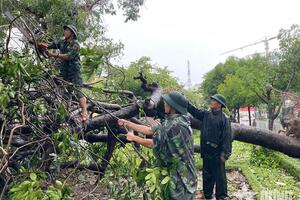 Nghệ An: Huy động lực lượng khẩn trương dọn bão, chống lũ