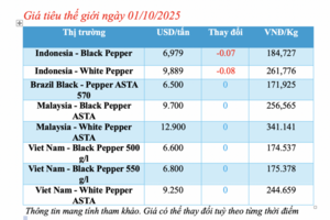 Giá tiêu hôm nay 01/10/1025: Giảm sâu đến 3.000 đồng/kg