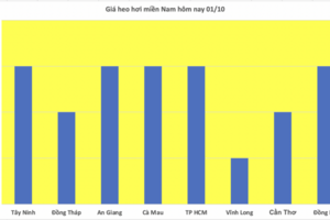 Giá heo hơi hôm nay 01/10/2025: Giảm đồng loạt cả 3 miền
