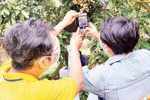 Từ nương rẫy lên sàn số: Nông sản Thái Nguyên đổi thay