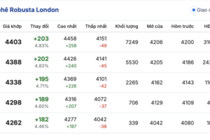 Giá cà phê hôm nay 2/10/2025: Thị trường yên ắng
