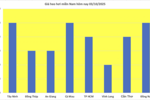 Giá heo hơi hôm nay 3/10/2025: Miền Trung và miền Nam tiếp đà giảm