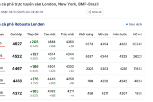 Giá cà phê hôm nay 4/10: Trong nước sụt giảm mạnh