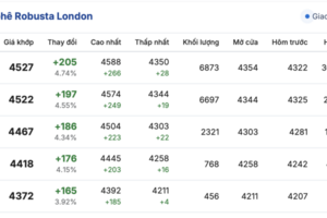 Giá cà phê hôm nay 6/10/2025: Trong nước đi ngang
