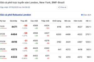 Giá cà phê hôm nay 7/10/2025: Không có đột biến
