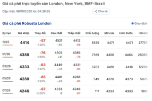 Giá cà phê hôm nay 8/10/2025: Quay đầu giảm mạnh