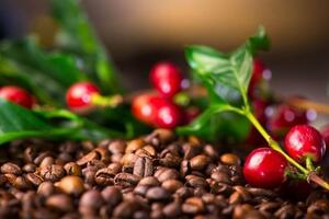 Bản tin nông sản hôm nay (8-10): Giá cà phê quay đầu giảm mạnh