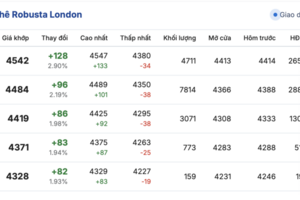 Giá cà phê hôm nay 9/10/2025: Tiếp tục đà giảm