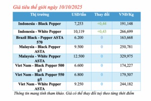Giá tiêu hôm nay 10/10/2025: Tăng mạnh cục bộ 2.500 đồng/kg
