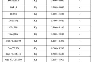 Giá lúa gạo hôm nay ngày 12/10, tuần qua: Gạo xuất khẩu giảm, lúa vững