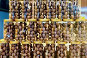 Gia Lai: Trái ngọt macca trên vùng đất khó Kbang