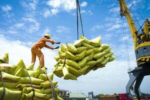 Bản tin nông sản hôm nay (16-10): Giá cà phê giảm, hồ tiêu tăng