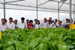 Giảm phát thải trong trồng trọt để bảo vệ môi trường, xây dựng nền sản xuất xanh