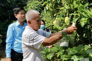 Chung tay đổi mới nông nghiệp đô thị