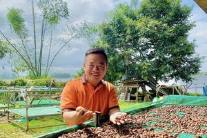 Giá ca cao tăng vọt: Doanh nghiệp Việt xoay xở ra sao?