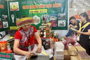 Nông sản Cao Bằng ghi dấu ấn tại Hội chợ mùa Thu lần thứ nhất - 2025