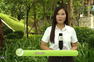 Không gian xanh - “lá phổi” của đô thị