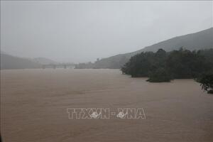 Dự báo lũ trên sông Thu Bồn tại Câu Lâu và Hội An sẽ vượt mốc lịch sử năm 1964