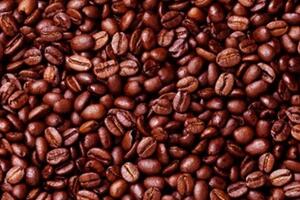 Giá cà phê thế giới tăng mạnh do lo ngại thiếu hụt nguồn cung