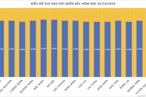 Giá heo hơi hôm nay 31/10/2025: Giảm nhẹ 1.000 đồng/kg tại miền Bắc