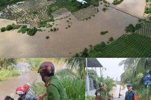 Mưa lũ gây thiệt hại nặng tại Lâm Đồng, hơn 5.600ha cây trồng bị ảnh hưởng