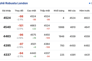 Giá cà phê hôm nay 2/11/2025: Đảo chiều giảm mạnh