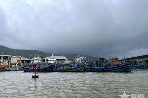 Đà Nẵng yêu cầu sơ tán dân đến nơi an toàn trước 12 giờ ngày 6-11