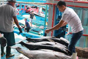 Gỡ 'thẻ vàng' IUU: Chìa khóa và cơ hội nâng tầm thủy sản Việt