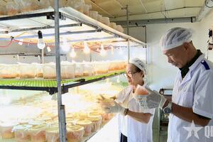 Cựu chiến binh làm nông nghiệp kỹ thuật cao