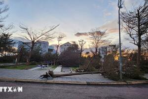 Gia Lai: Sạt lở gây chia cắt giao thông, nhiều khu vực ngập lụt