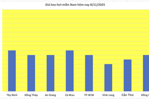 Giá heo hơi hôm nay 9/11/2025: Đi ngang trên cả 3 miền