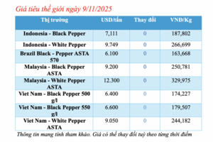 Giá tiêu hôm nay 9/11/2025: Nội địa lẫn quốc tế đều lặng sóng