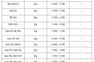 Giá lúa gạo hôm nay ngày 9/11 và tuần qua: Lúa tươi đồng loạt giảm